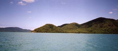 Rainsforest covered hills near Cairns