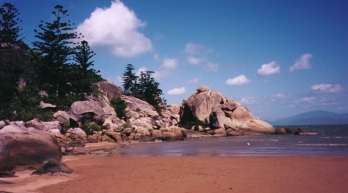 Bay